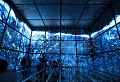 彩光對世博演繹做出了突出貢獻